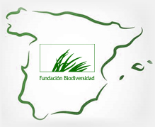 Fundacion Biodiversidad | Proyectos