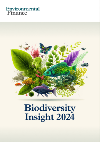 Fundacion Biodiversidad Biodiversity Insights 2024   2024 Environmental Finance Biodiversity Insight 2024 