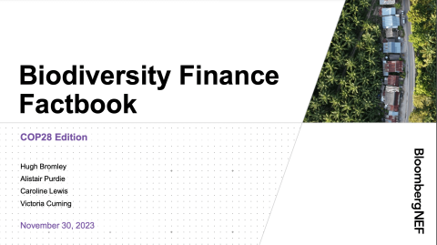 Fundacion Biodiversidad | Biodiversity Finance Factbook COP28 Edition