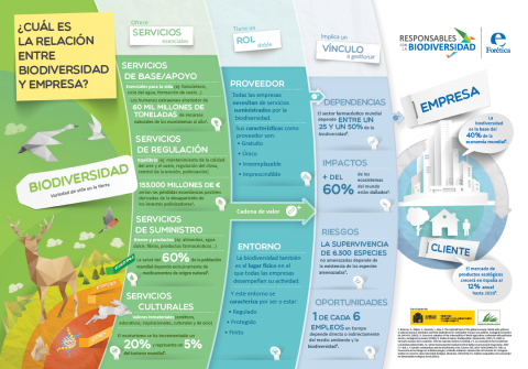 Infografía La relación entre Biodiversidad y empresa