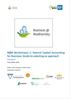 Natural Capital Accounting for Business