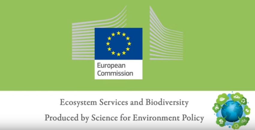 Ecosystem services and Biodiversity