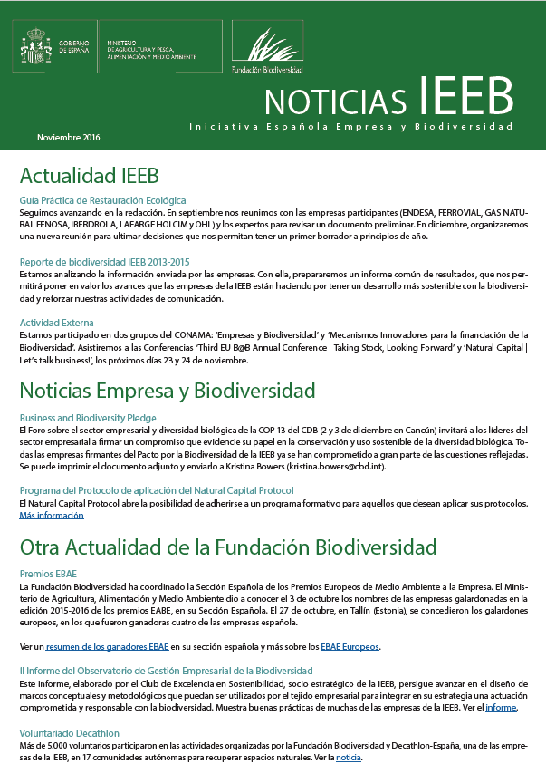 Noticias IEEB Noviembre 2016