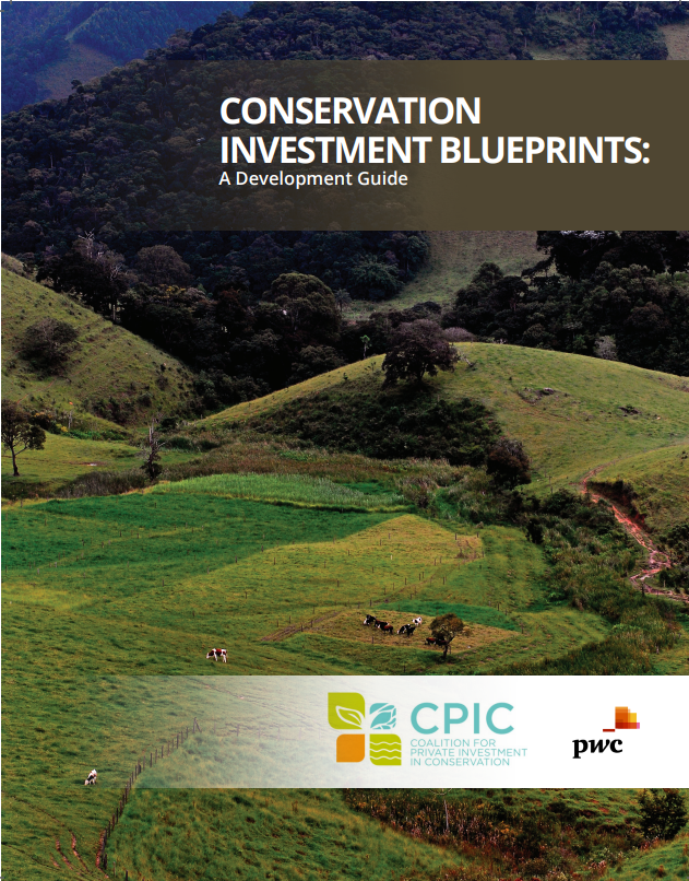 Conservation Investment Blueprints: A Development Guide