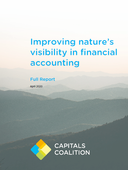 Improving Nature’s Visibility in Financial Accounting. Capitals Coalition.