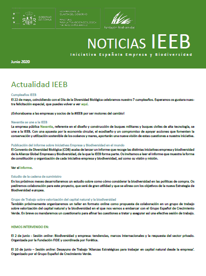 Hoja Informativa IEEB Junio 2020