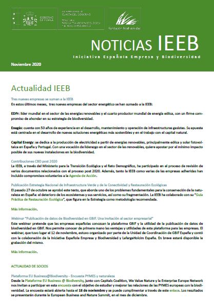 Hoja Informativa IEEB Noviembre 2020