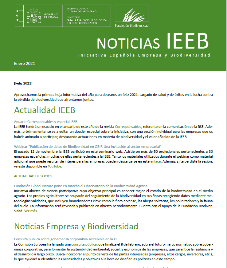 Hoja Informativa IEEB Enero 2021