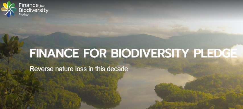Finance for Biodiversity Foundation Approaches Consultations