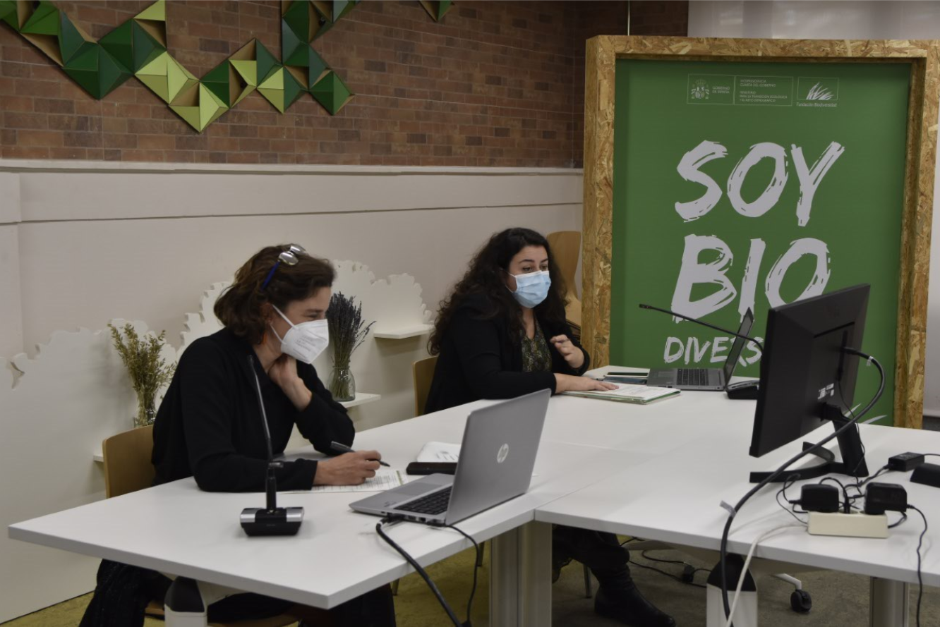 We analyse the participation of the private sector in the definition of the new global biodiversity framework