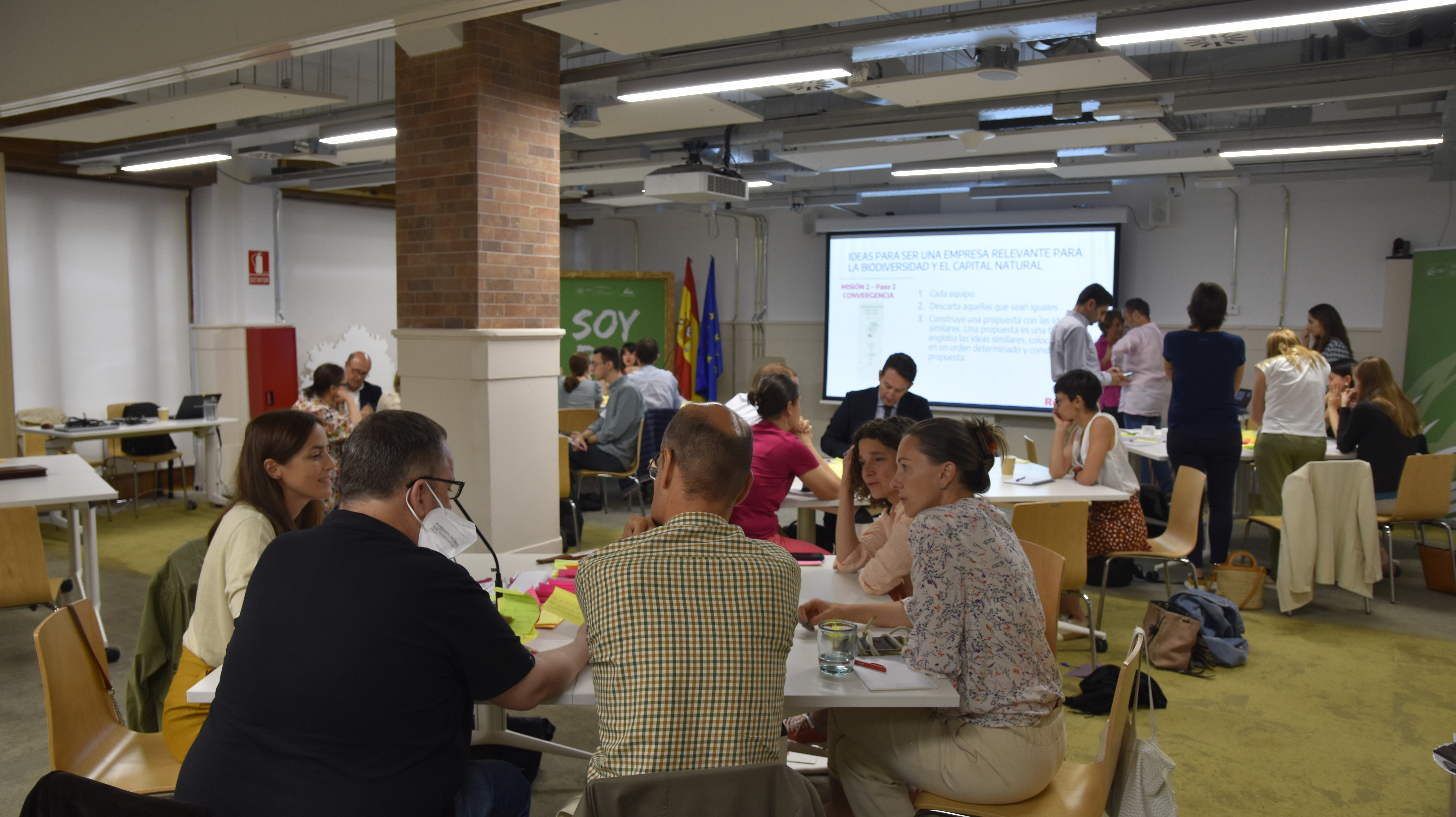 The Spanish Business and Biodiversity Initiative (IEEB) celebrates the First Workshop on Innovation and Transformation