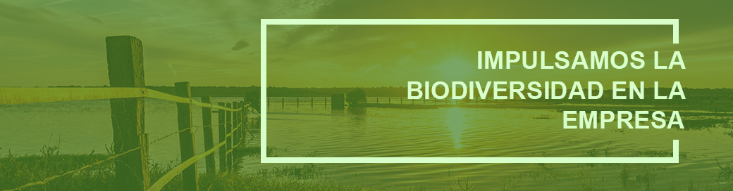 Don’t miss the free webinar “Towards a standard for biodiversity measurement and valuation for companies” on Tuesday 12 July