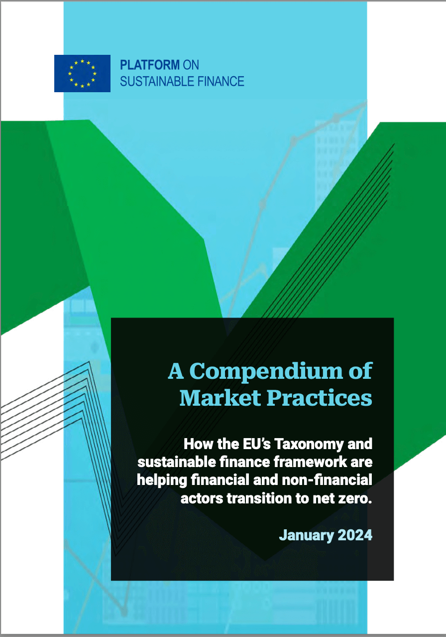 A Compendium of Market Practices. How the EU’s Taxonomy and sustainable finance framework are helping financial and non-financial actors transition to net zero