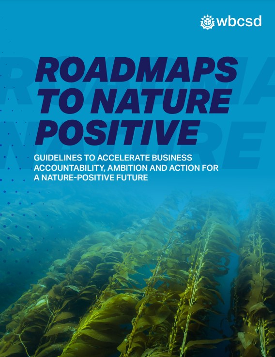 Roadmaps to nature positive: Guidelines to accelerate business accountability, ambition and action for a nature-positive future