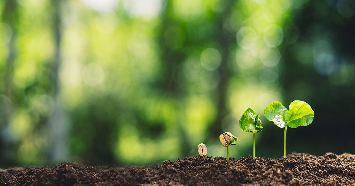 The private sector, a key player in the State Strategic Plan for Natural Heritage and Biodiversity 2030