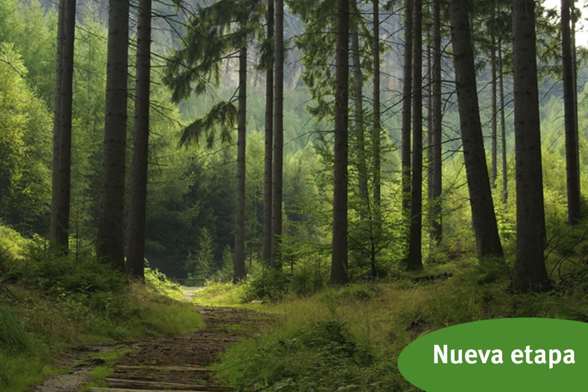 New stage of the IEEB to promote the involvement of the business sector in the conservation and restoration of biodiversity