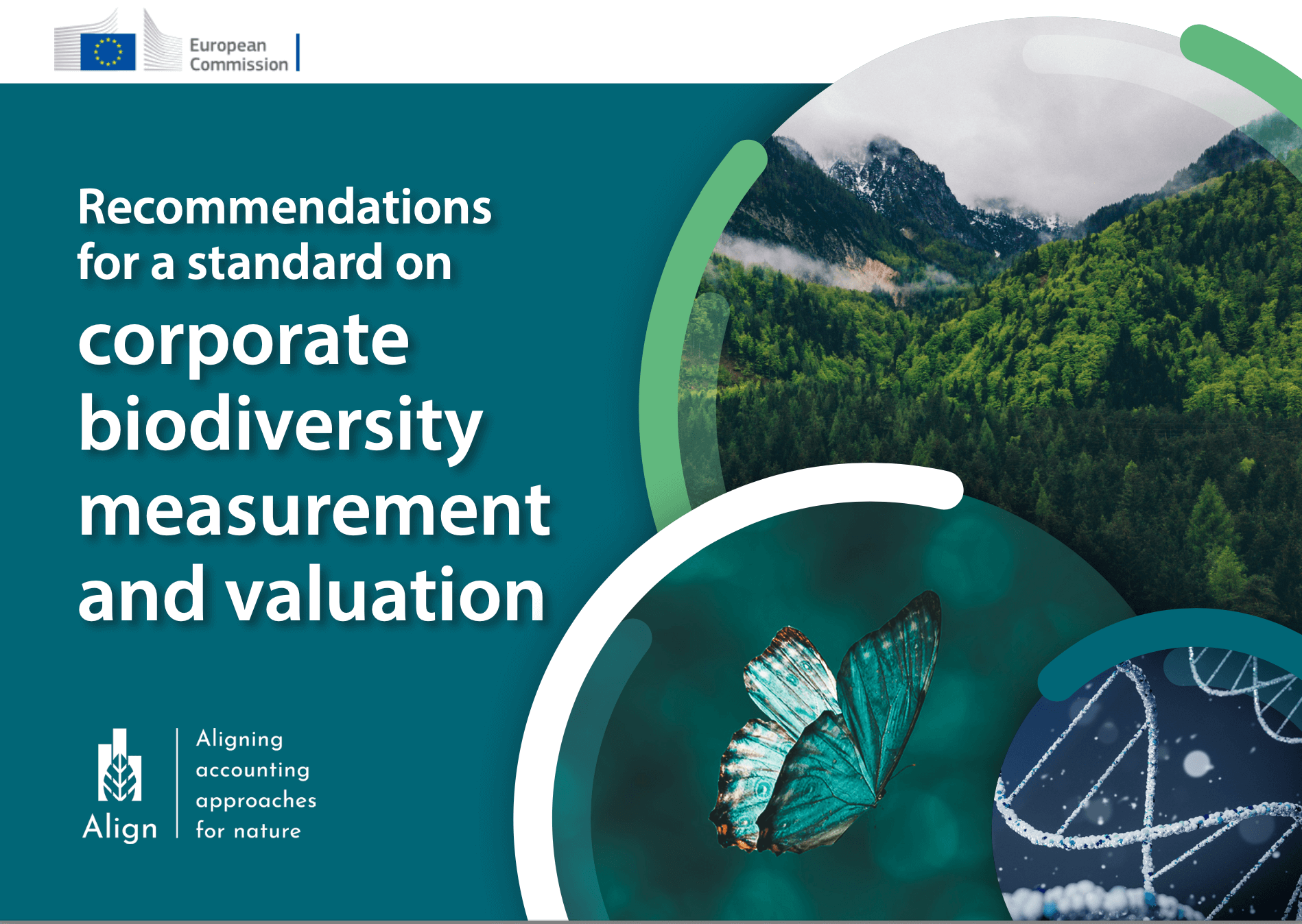 Recommendations for a standard on corporate biodiversity measurement and valuation, ALIGN
