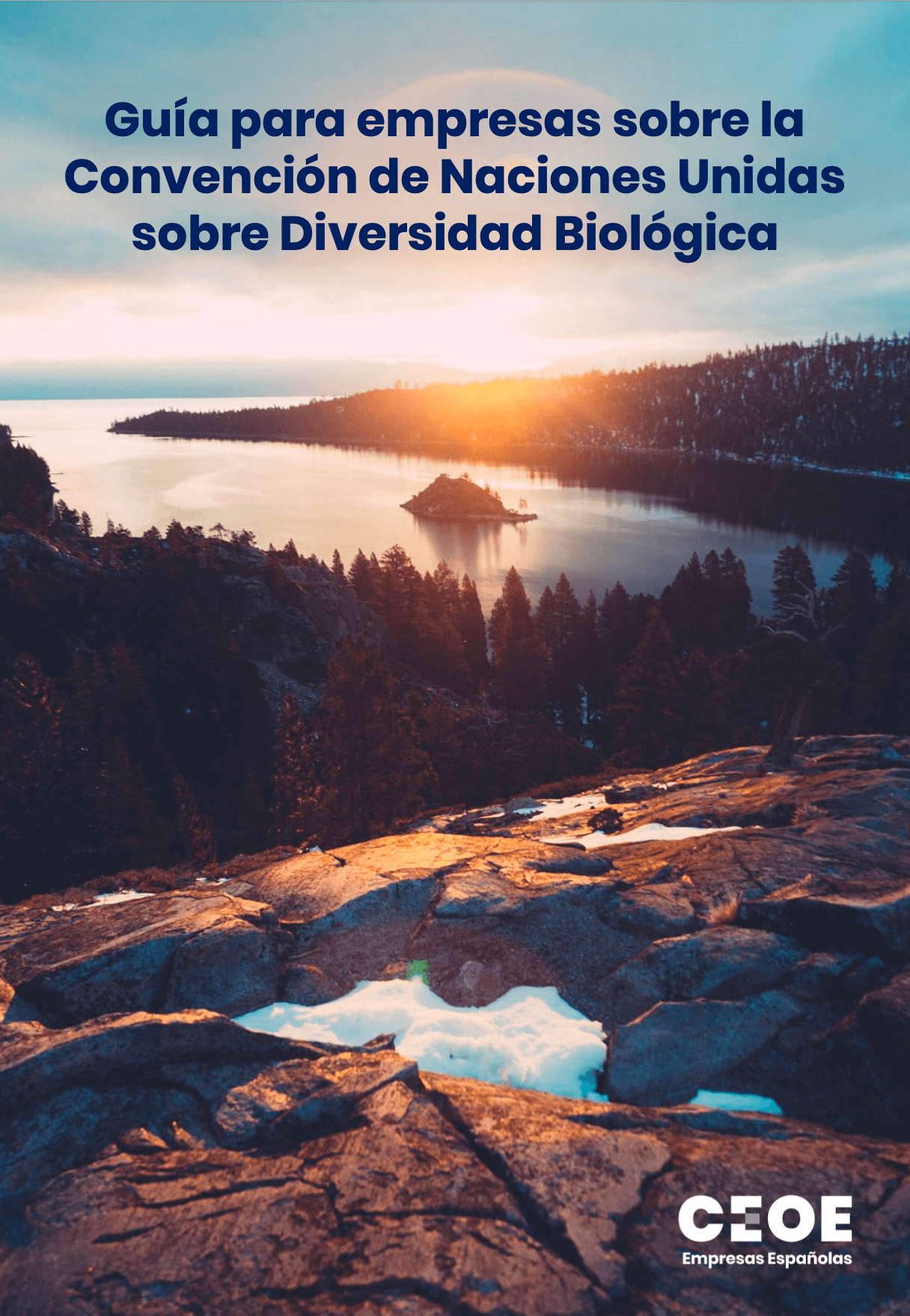 Guía para empresas sobre la Convención de Naciones Unidas sobre Diversidad Biológica