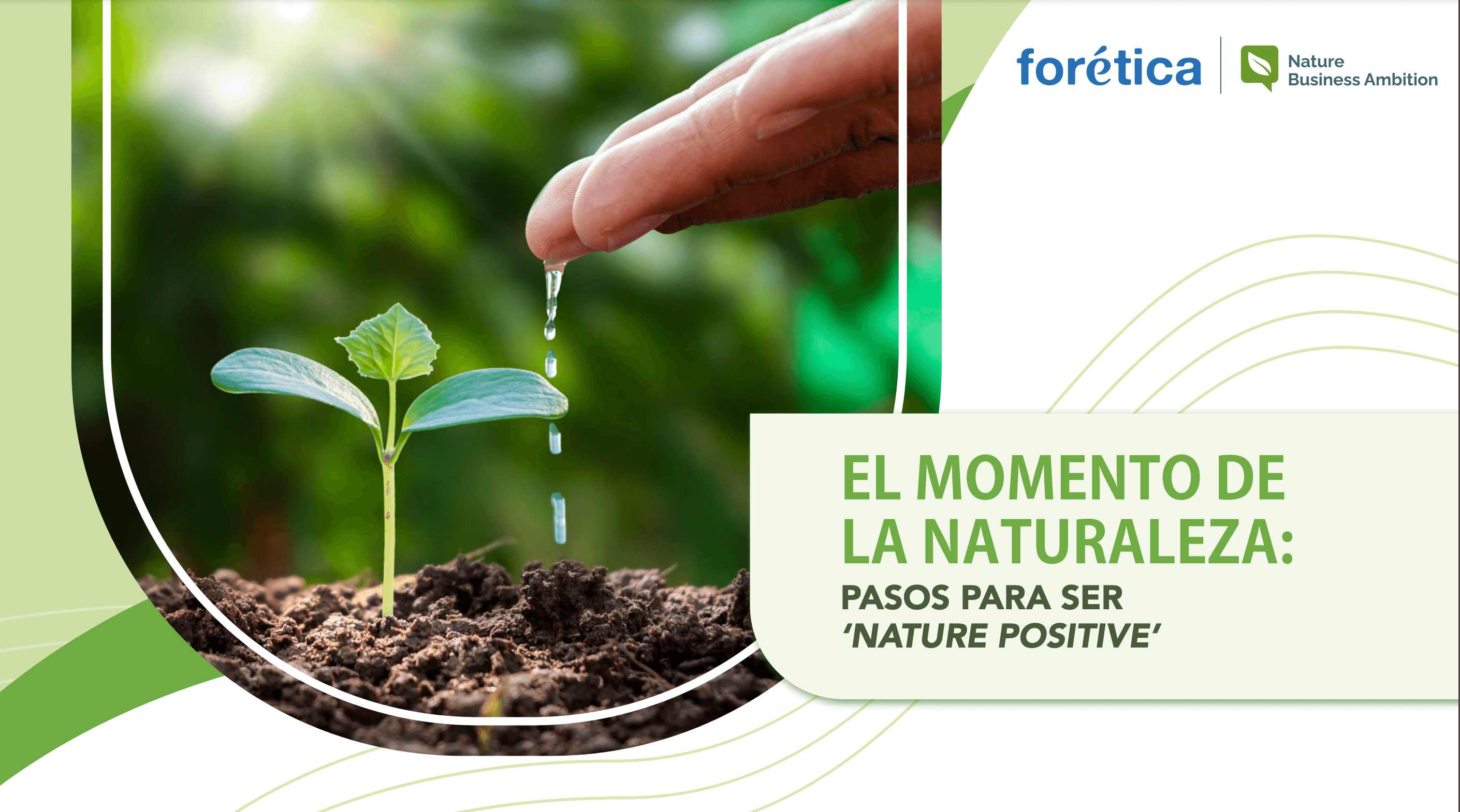 El momento de la naturaleza: Pasos para ser “Nature-Positive”