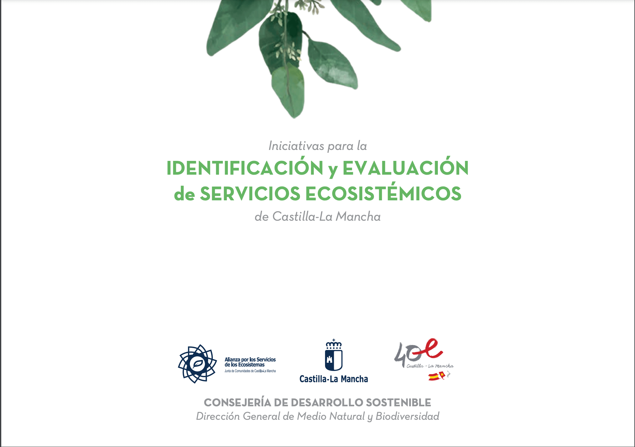 Identificación y evaluación de servicios ecosistémicos. Iniciativas para la de Castilla-La Mancha