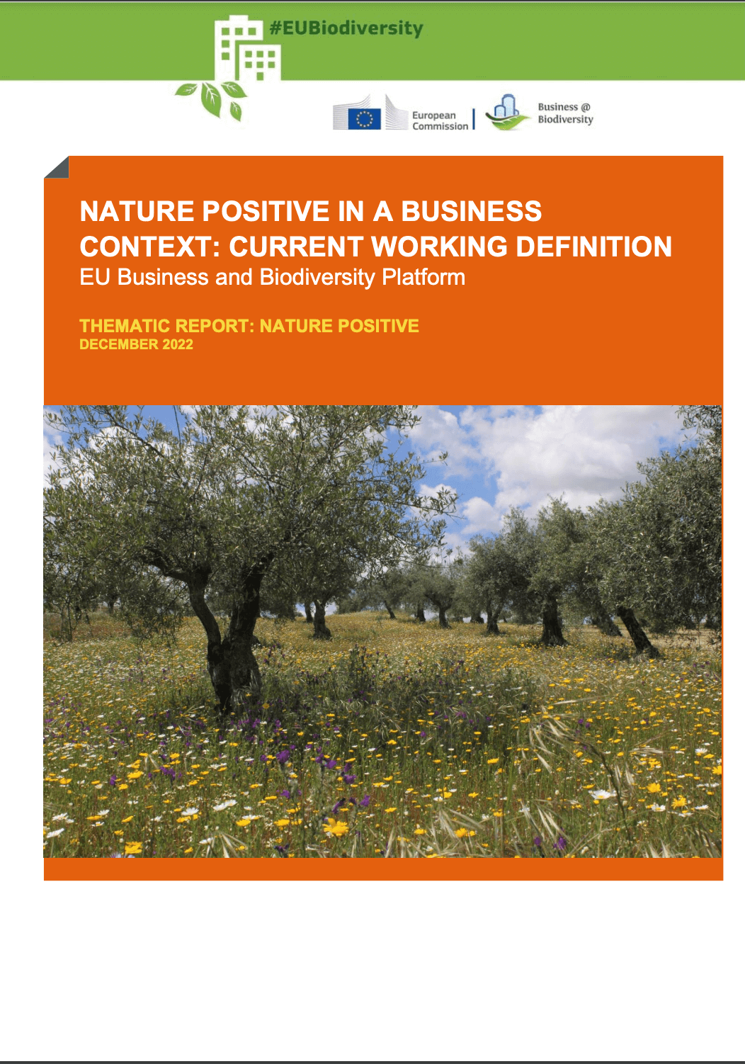 Nature Positive in a Business Context: Current Working Definition