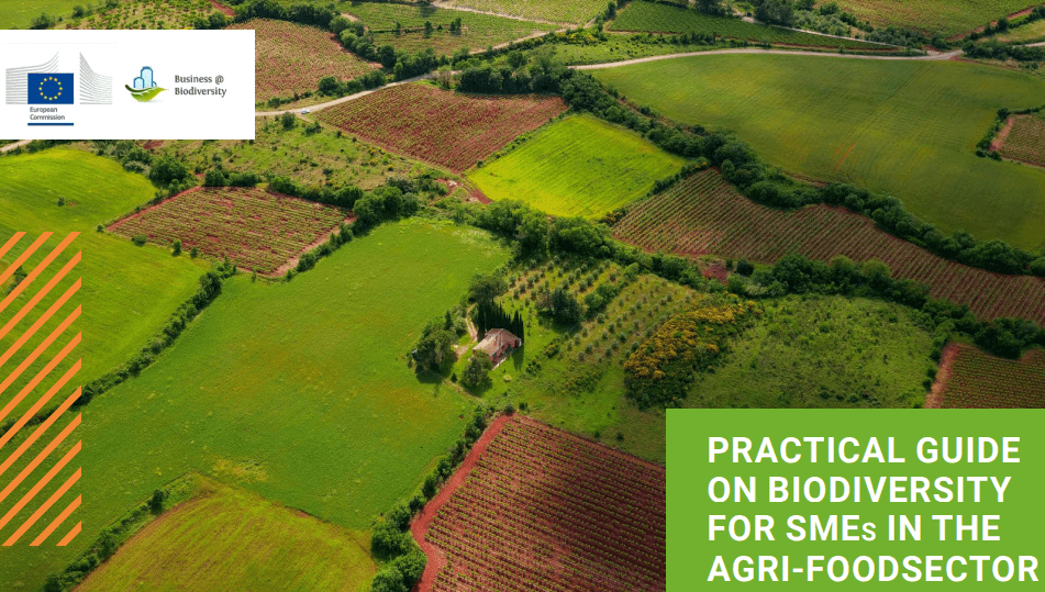 Practical guide on biodiversity for SMEs in the agri-food sector
