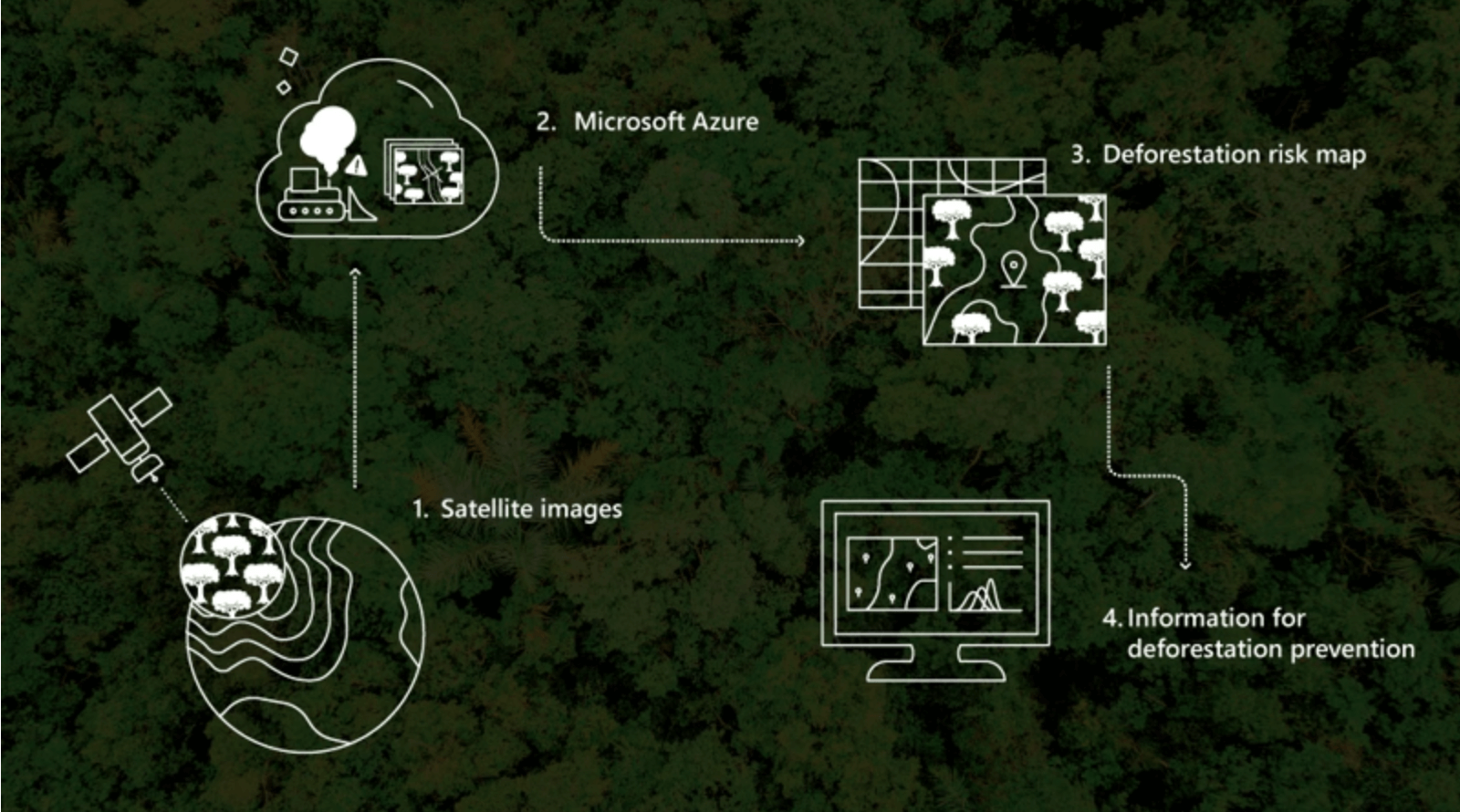 PrevisIA: nueva herramienta de inteligencia artificial que puede identificar las zonas forestales más amenazadas por la deforestación