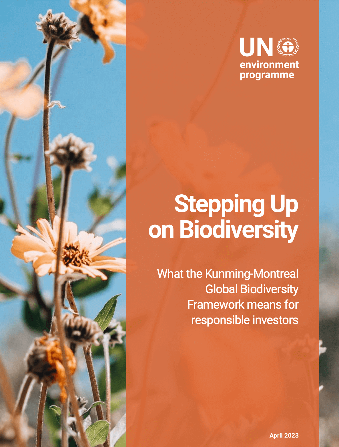 Stepping Up on Biodiversity. What the Kunming‑Montreal Global Biodiversity Framework means for responsible investors