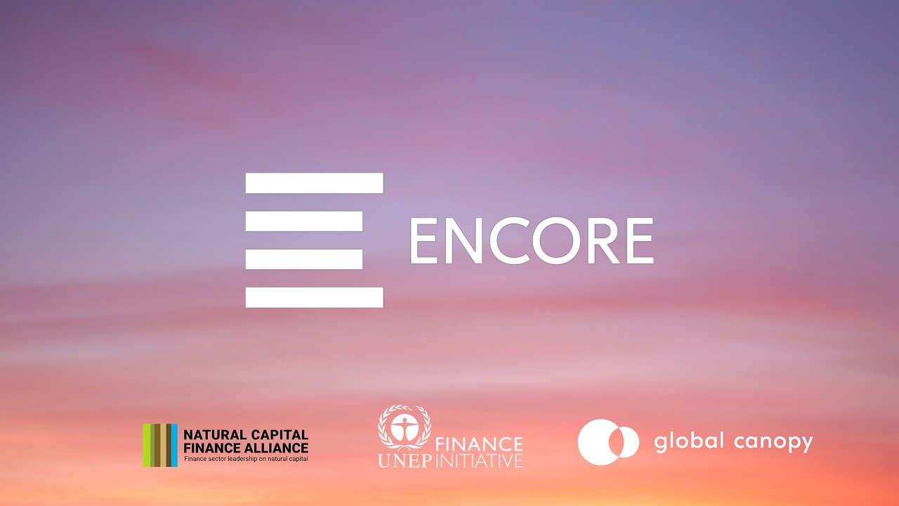 ENCORE facilita a bancos e inversores explorar el impacto de sus carteras en el riesgo de pérdida de especies e integridad de los ecosistemas