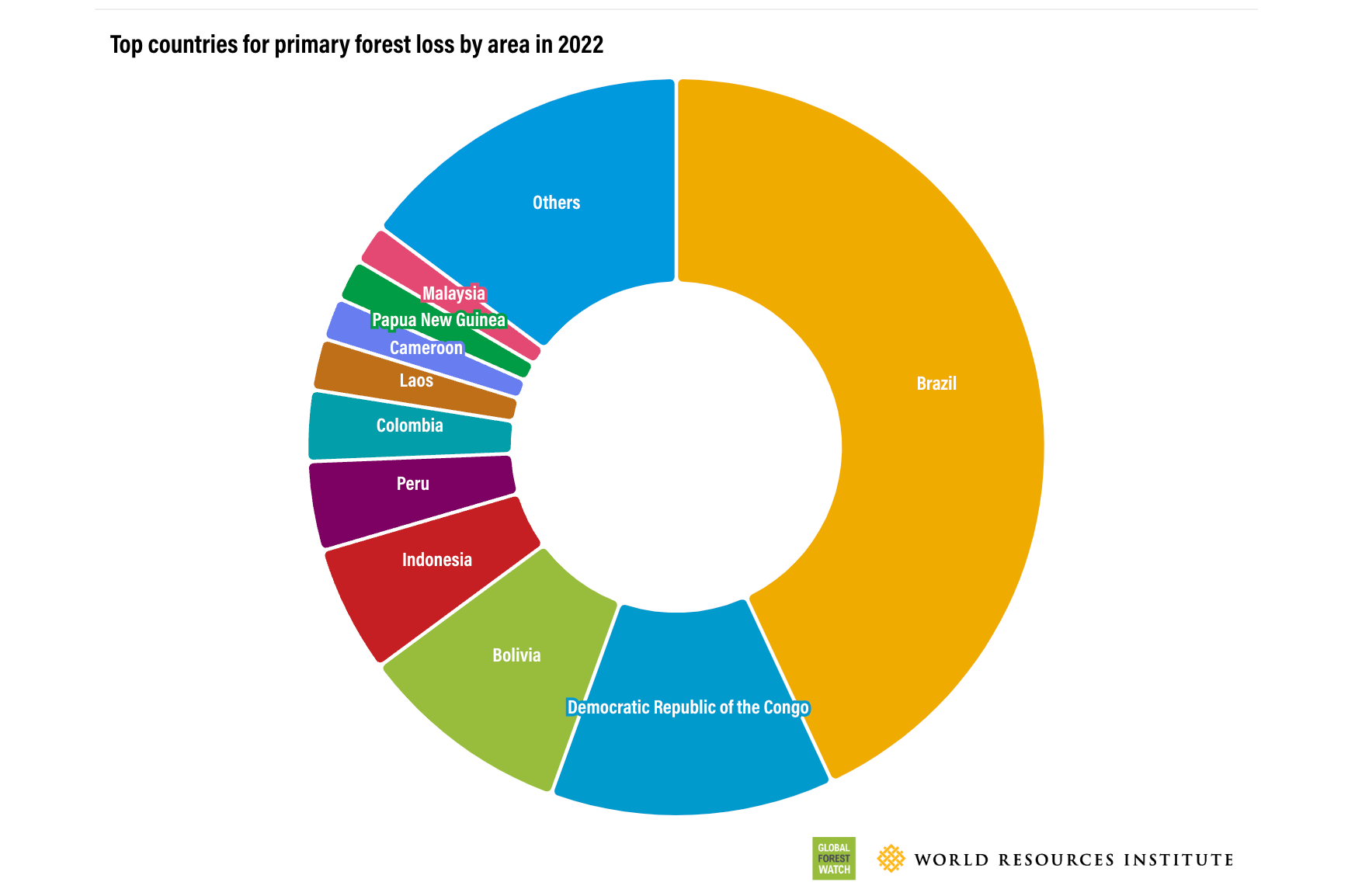 Forest Pulse: The Latest on the World’s Forests