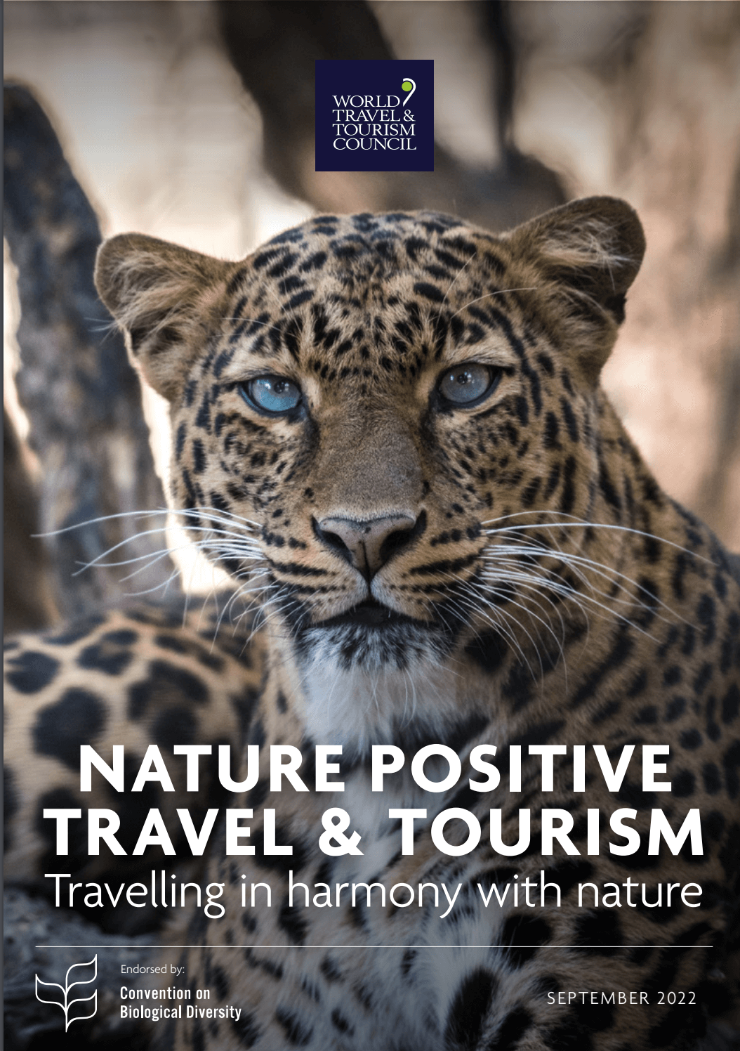Nature Positive Travel & Tourism