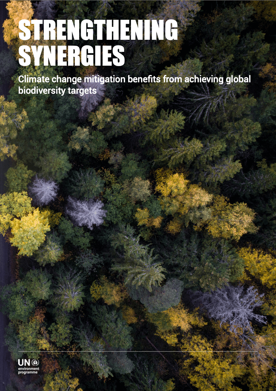 Strengthening Synergies: Climate Change Mitigation Benefits From Achieving Global Biodiversity Targets