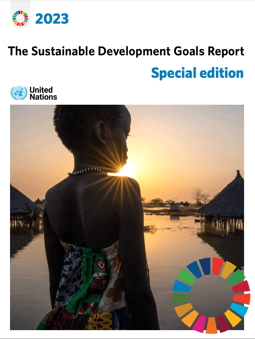 The Sustainable Development Goals Report. Special Edition
