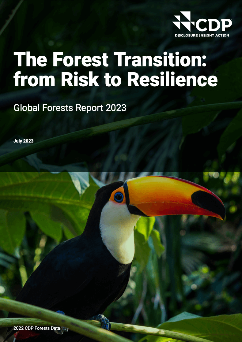 The Forest Transition: from Risk to Resilience