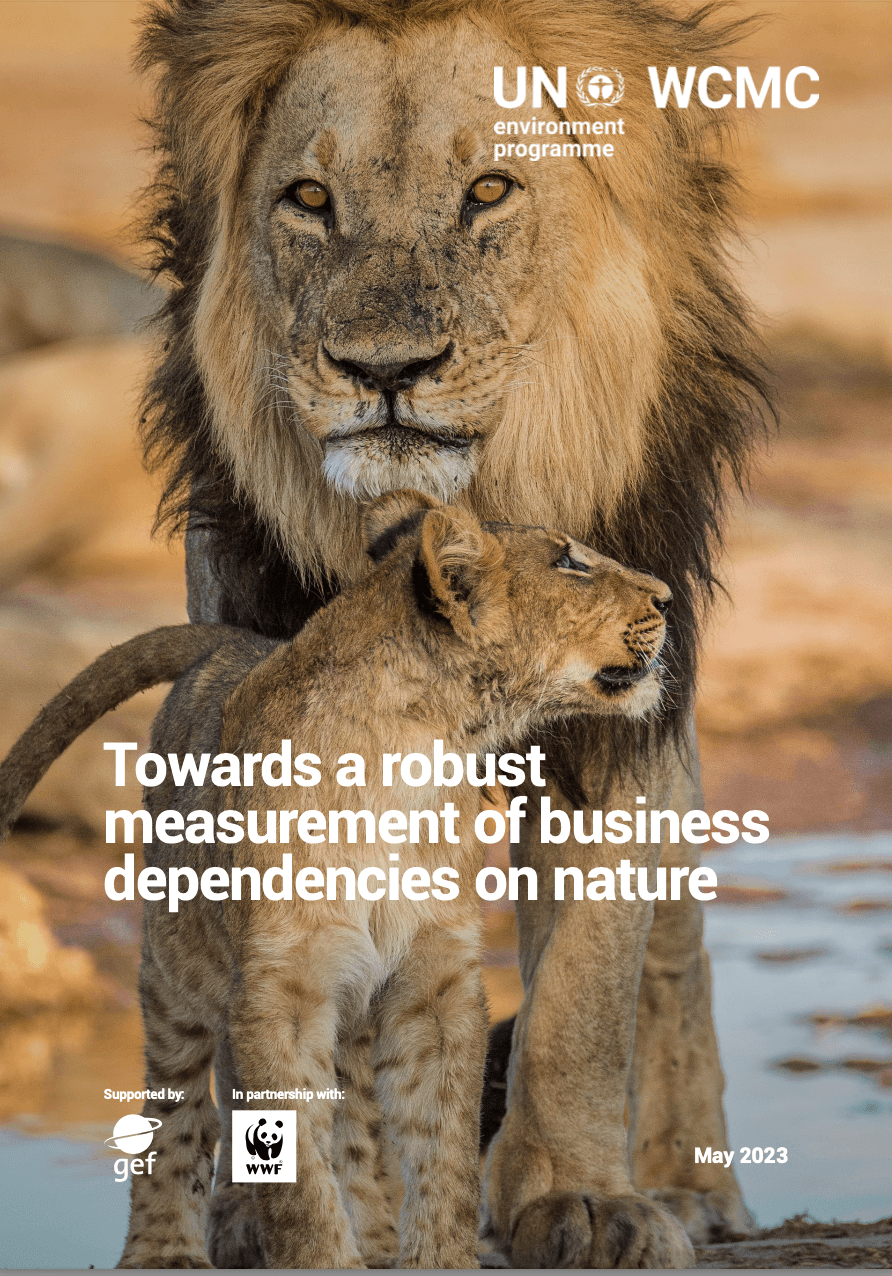 Towards a robust measurement of business dependencies on nature