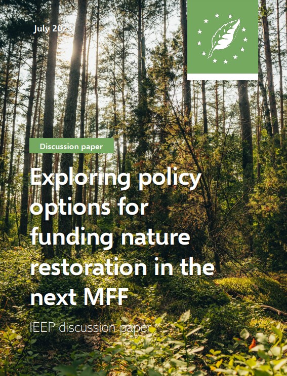 Exploring policy options for funding nature restoration in the next MFF