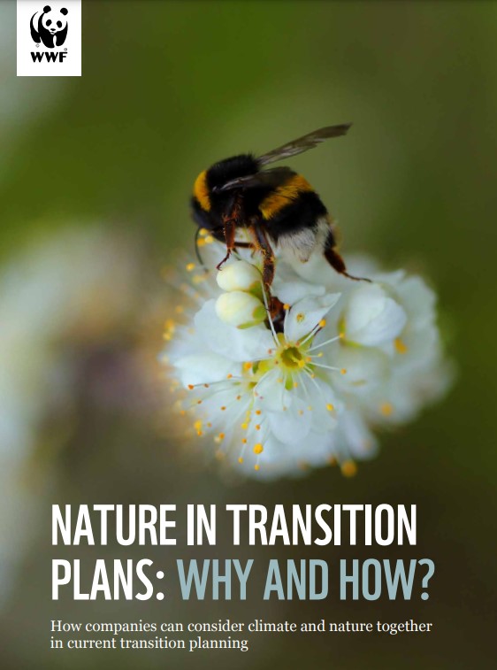 Nature in transition plans: Why and how? How companies can consider climate and nature together in current transition planning