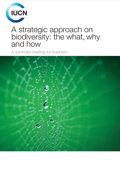 A strategic approach on biodiversity: the what, why and how: A summary briefing for business