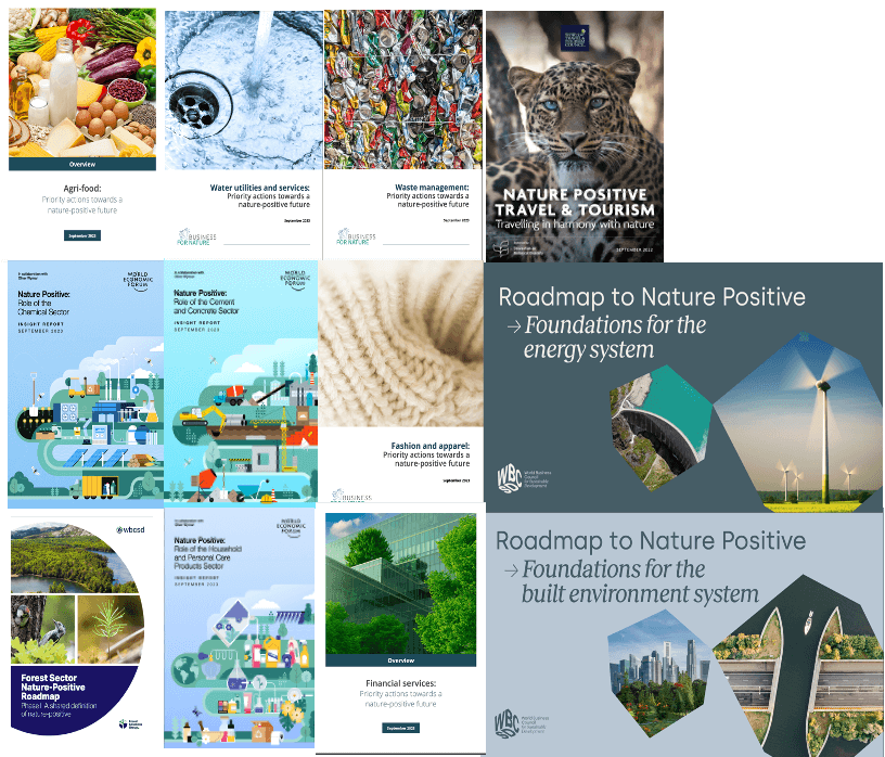 Sector Actions Towards a Nature-Positive Future