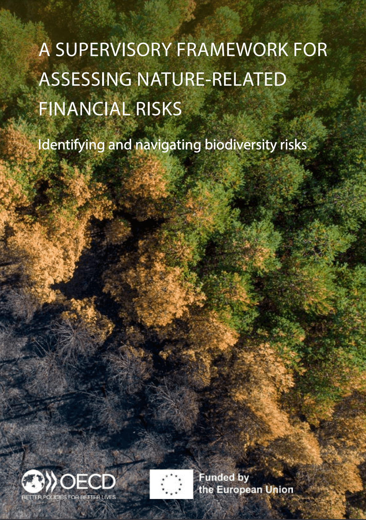 A supervisory framework for assessing nature-related financial risks