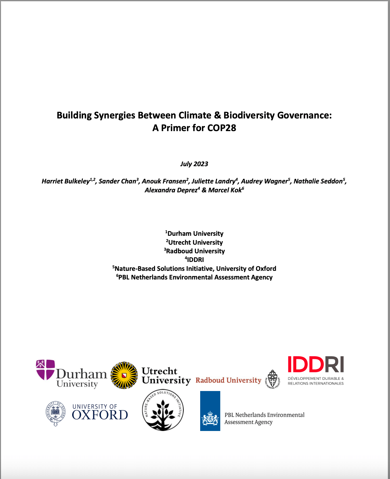 Building Synergies Between Climate & Biodiversity Governance: A Primer for COP28