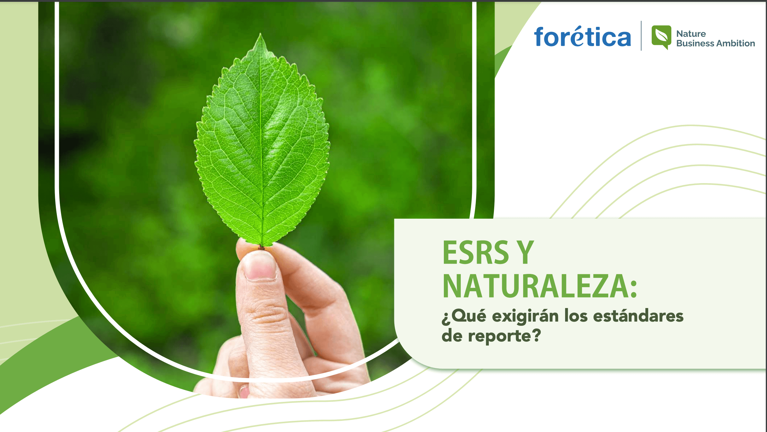 ESRS and nature. What will the reporting standards require?