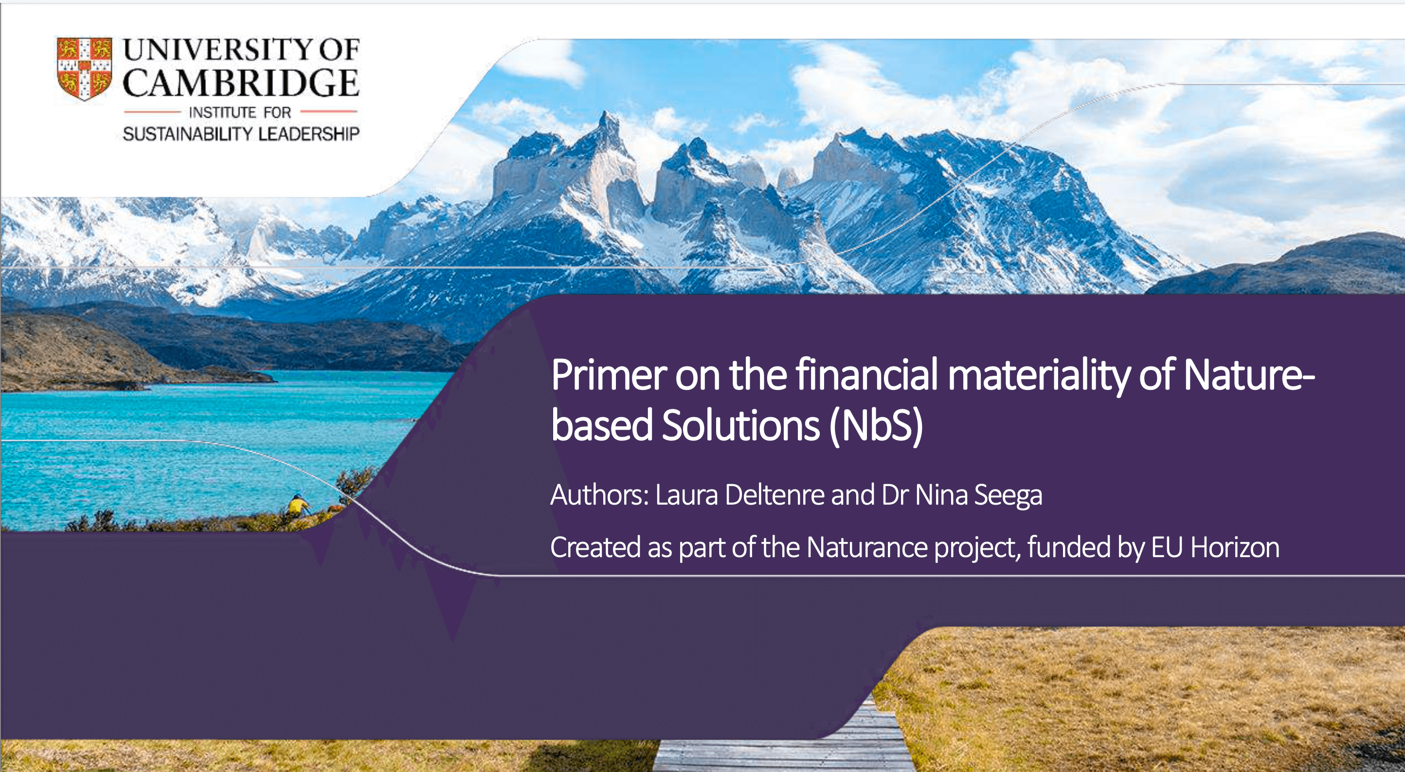 Primer on the financial materiality of Nature based Solutions (NbS)