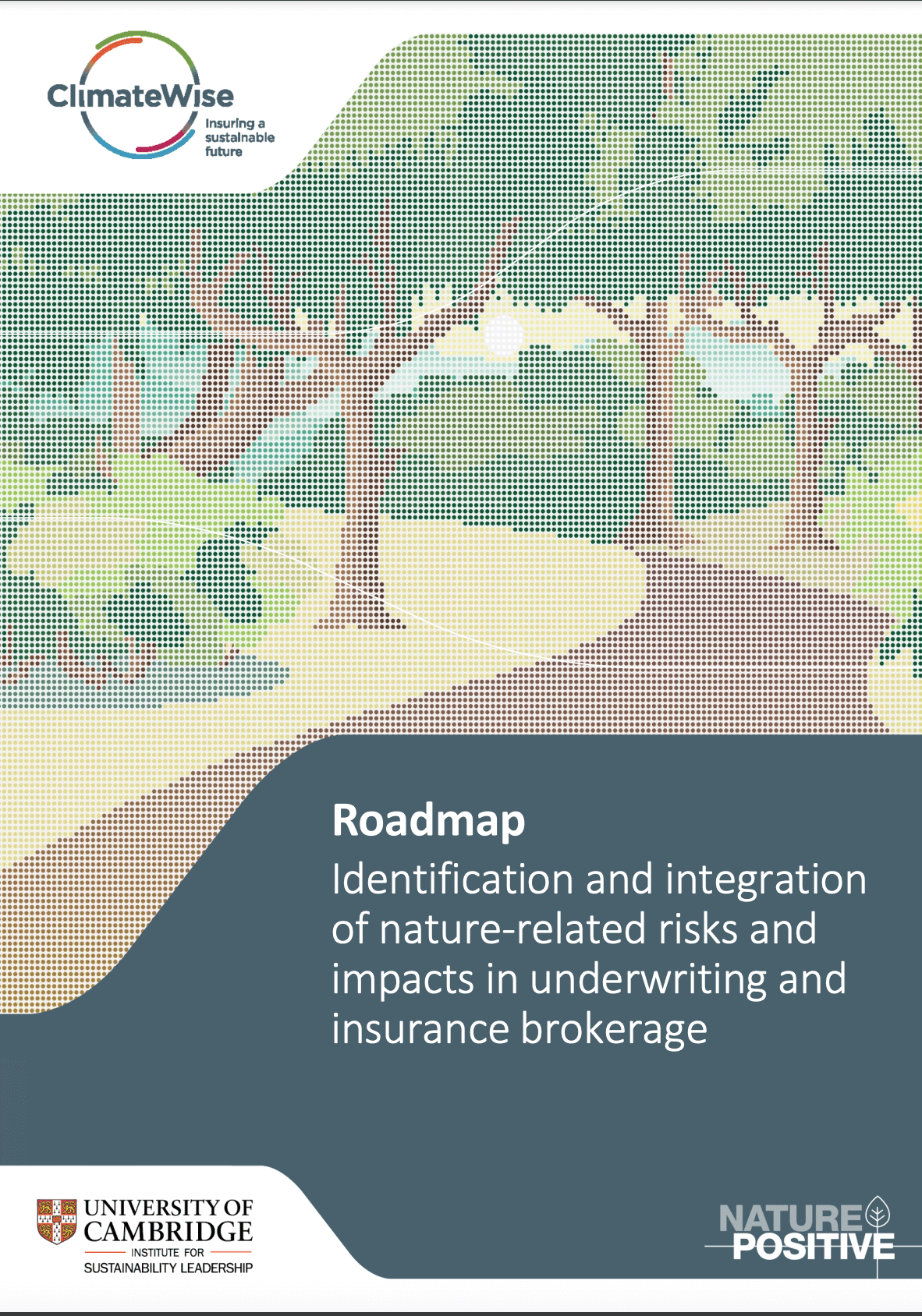 Roadmap: Identification and integration of nature-related risks and impacts in underwriting and insurance brokerage