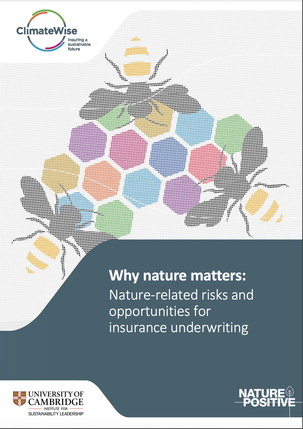 Why nature matters: Nature-related risks and opportunities for insurance underwriting