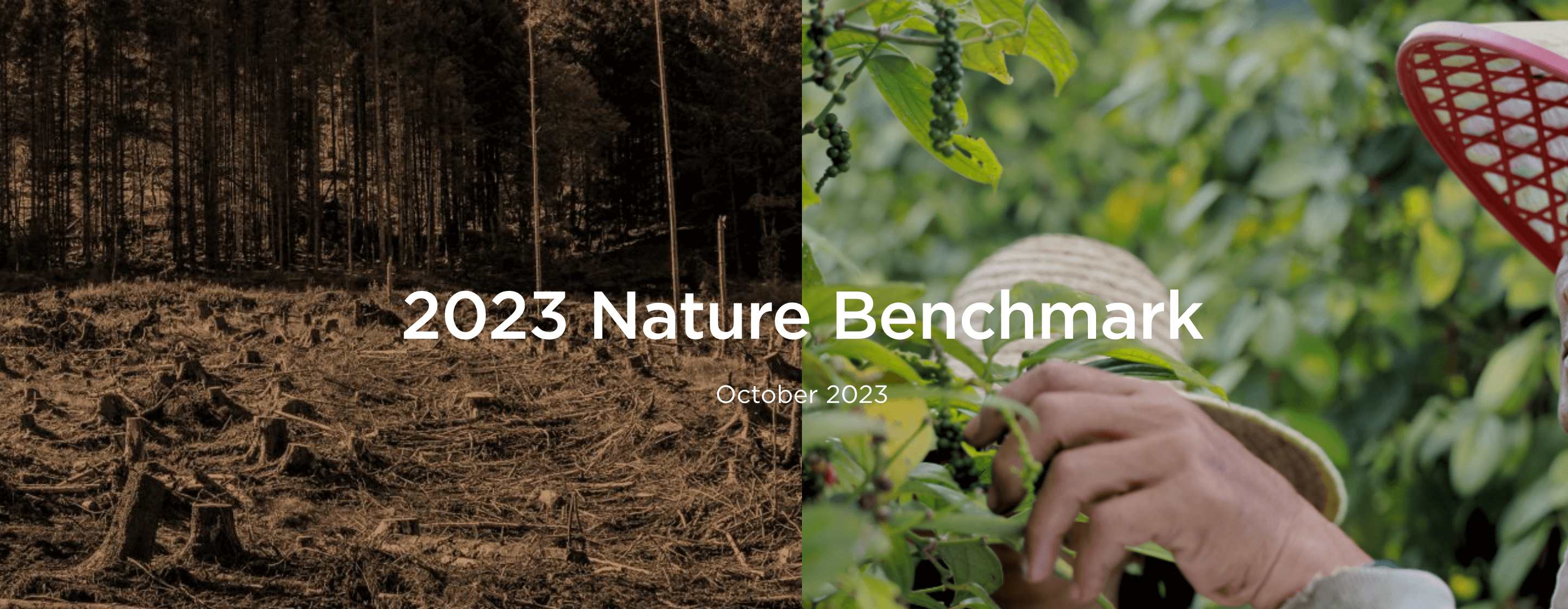 2023 Nature Benchmark