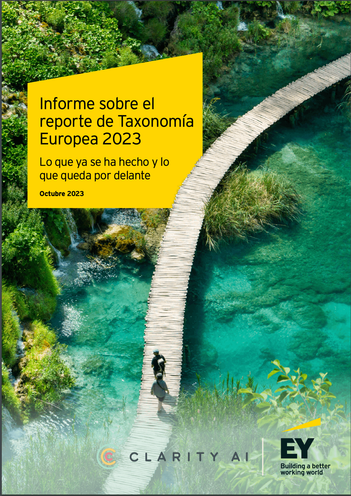 Report on the 2023 Taxonomy Report