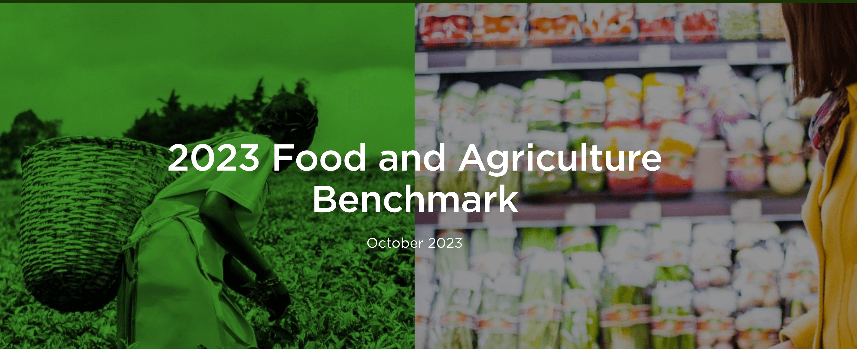 2023 Food and Agriculture Benchmark