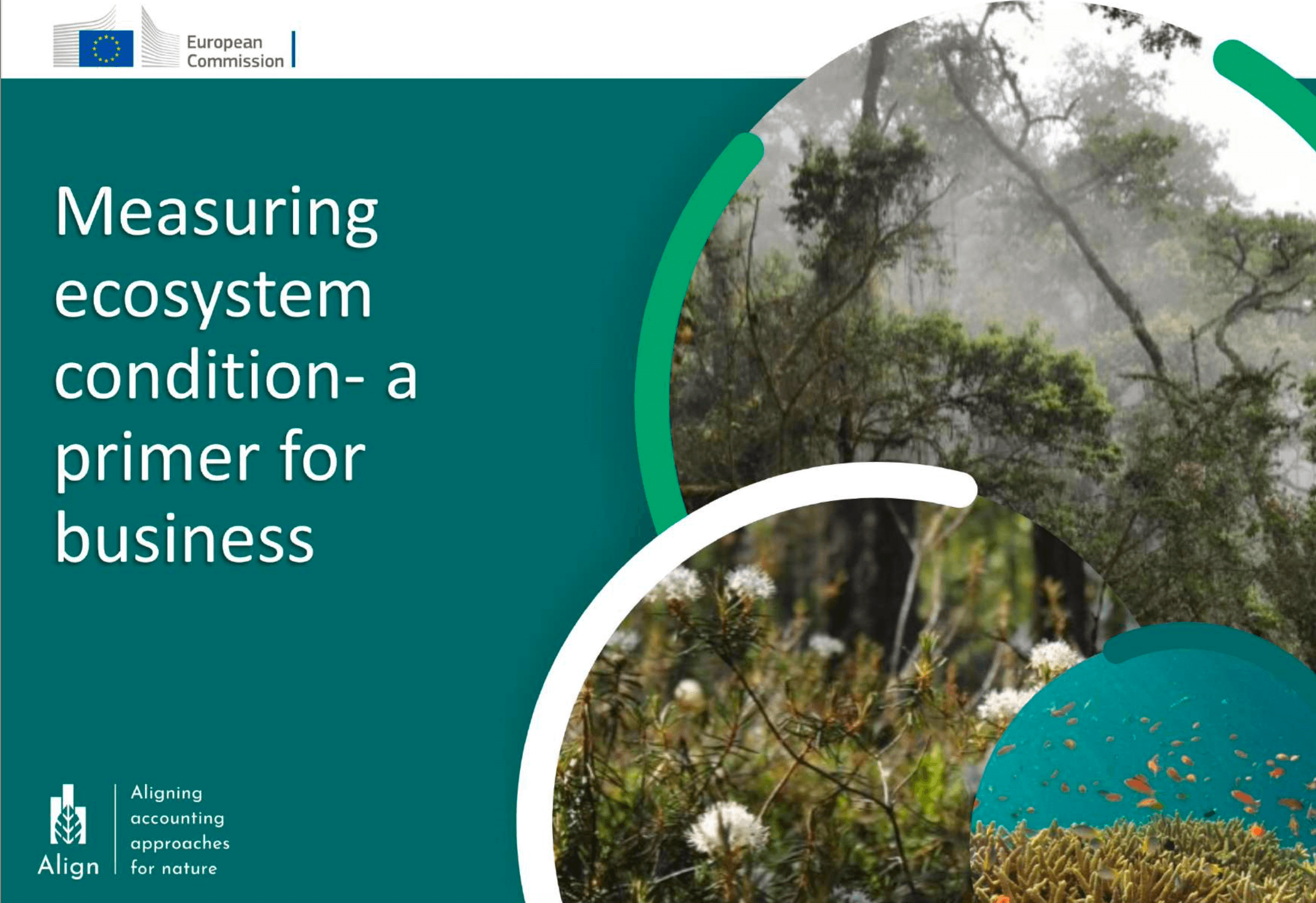 Measuring Ecosystem Condition – A Primer for Business