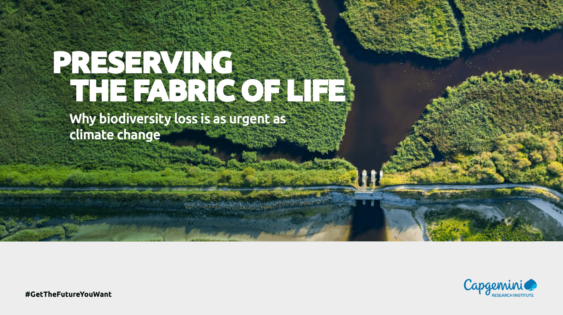 Preserving the fabric of life